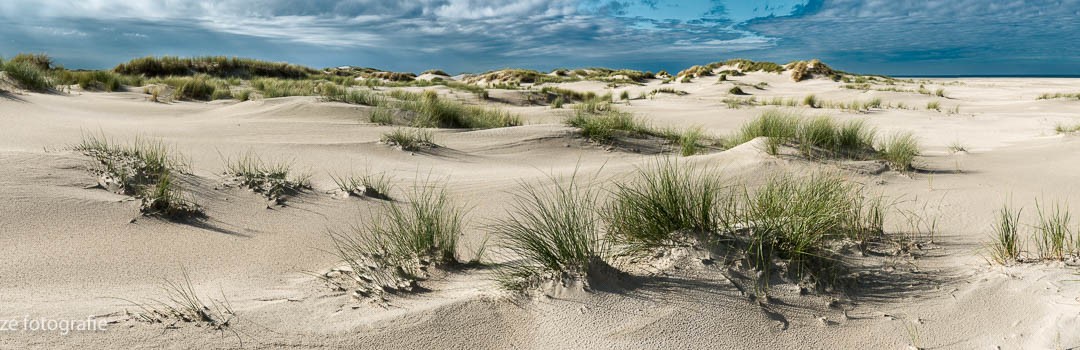Die Düne lebt