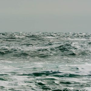 Foto Workshop auf Norderney