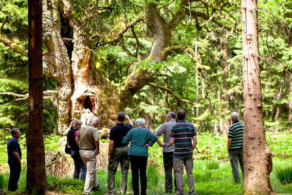 Fotoworkshops und Fotoreisen