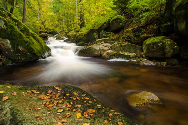 Harz Nationalpark