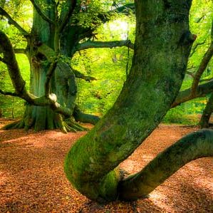 Landschaftsfotografie Workshops