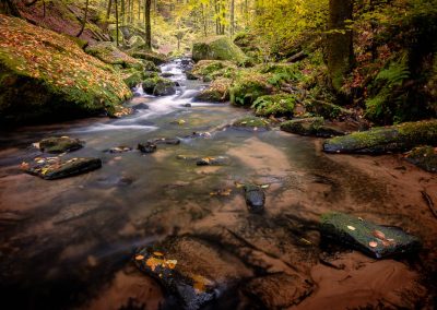 Wildbach, Fotoworkshop im Pfälzerwald
