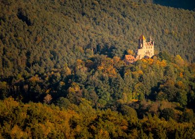 Burg mitten im Wald, Fotoworkshop im Pfälzerwald