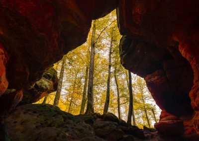 Felsformation und Wald, Fotoworkshop im Pfälzerwald