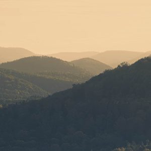 Weiter Blick, Fotoworkshop im Pfälzerwald