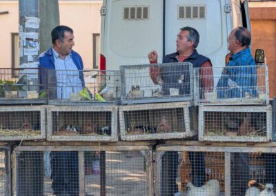 Mallorca: Marktstand mit lebendem Beflügel
