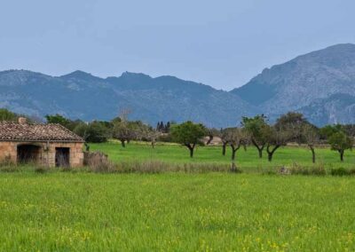 Mallorca: Panorama Landschaft
