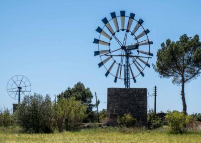 Mallorca: Windmühle